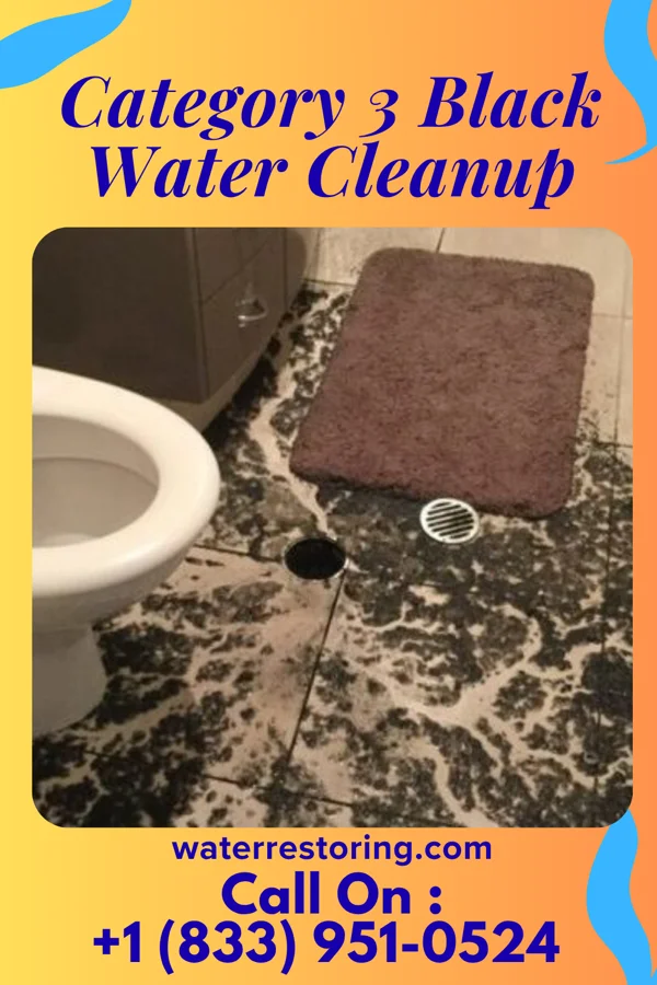 Category 3 Black Water Cleanup in St. Ann Highlands, CO